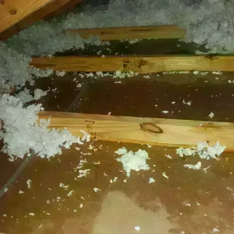 Attic Water Damage in Southampton, MA